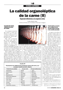 La calidad organoléptica de la carne (II)