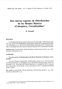 (Coleóptera, Curculionidae)1