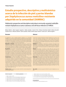 Staphylococcus aureus - Dermatología Argentina