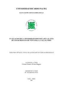 Descargar en PDF - Universidad Ricardo Palma