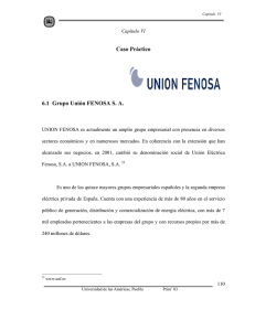 Caso Práctico 6.1 Grupo Unión FENOSA S. A.
