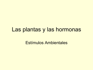 Las plantas y las hormonas