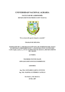 tesis mineralizacion - Cenida - Universidad Nacional Agraria