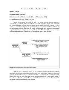 Funcionamiento de los suelos salinos y sódicos