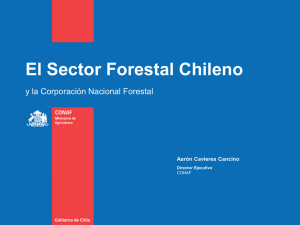 El Sector Forestal Chileno