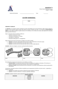 Acción hormonal - Colegio Monte de Asís
