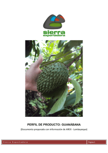 Perfil de Producto: Guanábana