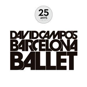 25 anys - David Campos