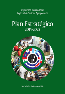 Plan Estratégico 2015-2025