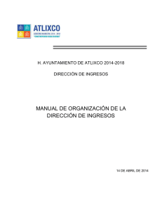 manual de organización de la dirección de ingresos