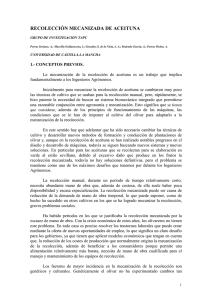 recolección de aceituna - Universidad de Castilla