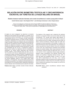 relación entre biometría testicular y circunferencia escrotal en