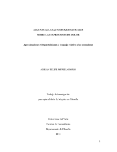 ALGUNAS ACLARACIONES GRAMATICALES SOBRE LAS