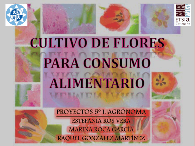 Viabilidad Del Cultivo De Flores Para Consumo Alimentario