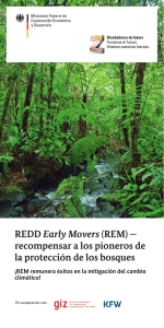 REDD Early Movers (REM) — recompensar a los pioneros de la