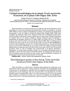 Microbiological quality of the clanup Tivela mactroides (Guacuco