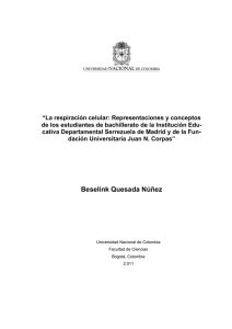 Beselink Quesada Núñez - Universidad Nacional de Colombia