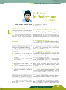 las Fitohormonas