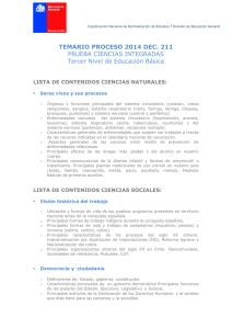 TEMARIO PROCESO 2014 DEC. 211 PRUEBA