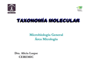 Tax. molecular 2011-B