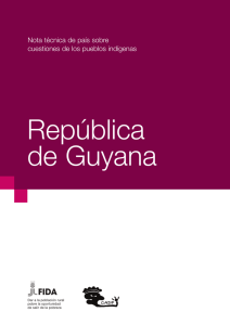 Nota técnica de país sobre cuestiones de los pueblos indígenas