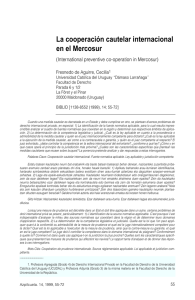 La cooperación cautelar internacional en el Mercosur. IN