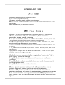 Cátedra: Asti Vera 2012- Final 2011- Final - Tema a