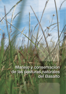 Manejo y conservación de pasturas naturales del Basalto
