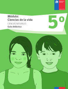 Guía didáctica - Ministerio de Educación de Chile