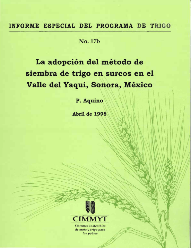 La Adopción Del Método De Siembra De Trigo En Surcos En El Valle 8406