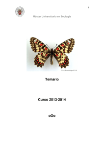 Temario Curso 2013-2014 oOo - Universidad Complutense de Madrid