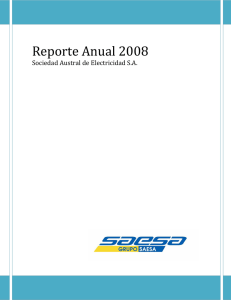 Reporte Anual 2008