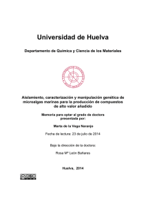 C - Universidad de Huelva