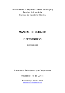 Manual de usuario - Instituto de Ingeniería Eléctrica
