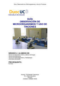 guía observación de microorganismos y uso de tinciones