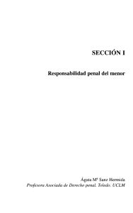 Responsabilidad penal del Menor. - AIDP España