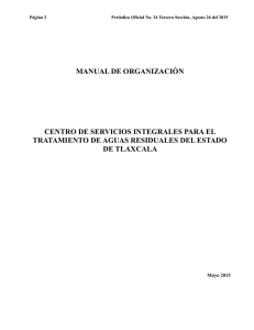 manual de organización centro de servicios