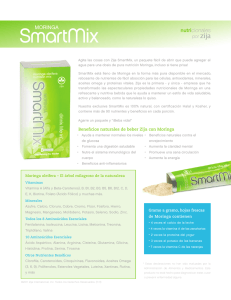 Descargue el perfil del producto SmartMix