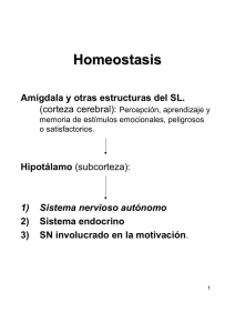 Clase 5 - Homeostasis