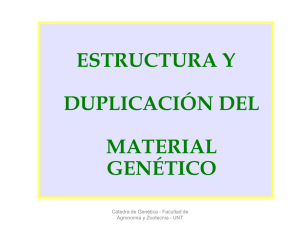 Estructura y duplicación del material genético