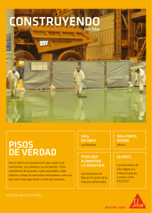Revista Construyendo con Sika - Edición 10