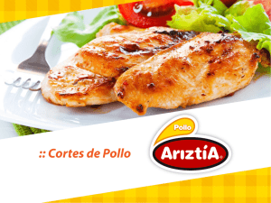 Cortes de Pollo - distribuidora de pollos ariztia
