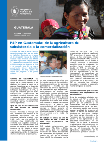 P4P en Guatemala: de la agricultura de subsistencia a la