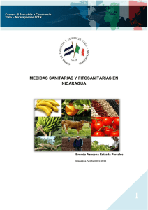 medidas sanitarias y fitosanitarias en nicaragua