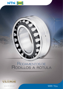 Rodillos a Rótula - the site of NTN-SNR