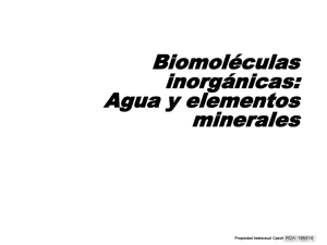 biomolec inorg. agua y minerales