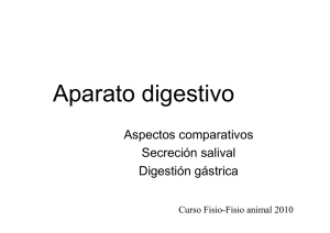 clase 1 digestivo 2010