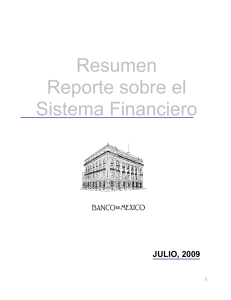 Resumen Reporte sobre el Sistema Financiero