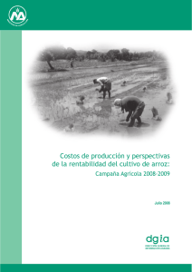 Costos de producción y perspectivas del cultivo de arroz, julio 2008.
