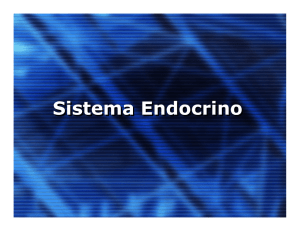 11. Sistema Endocrino.pptx